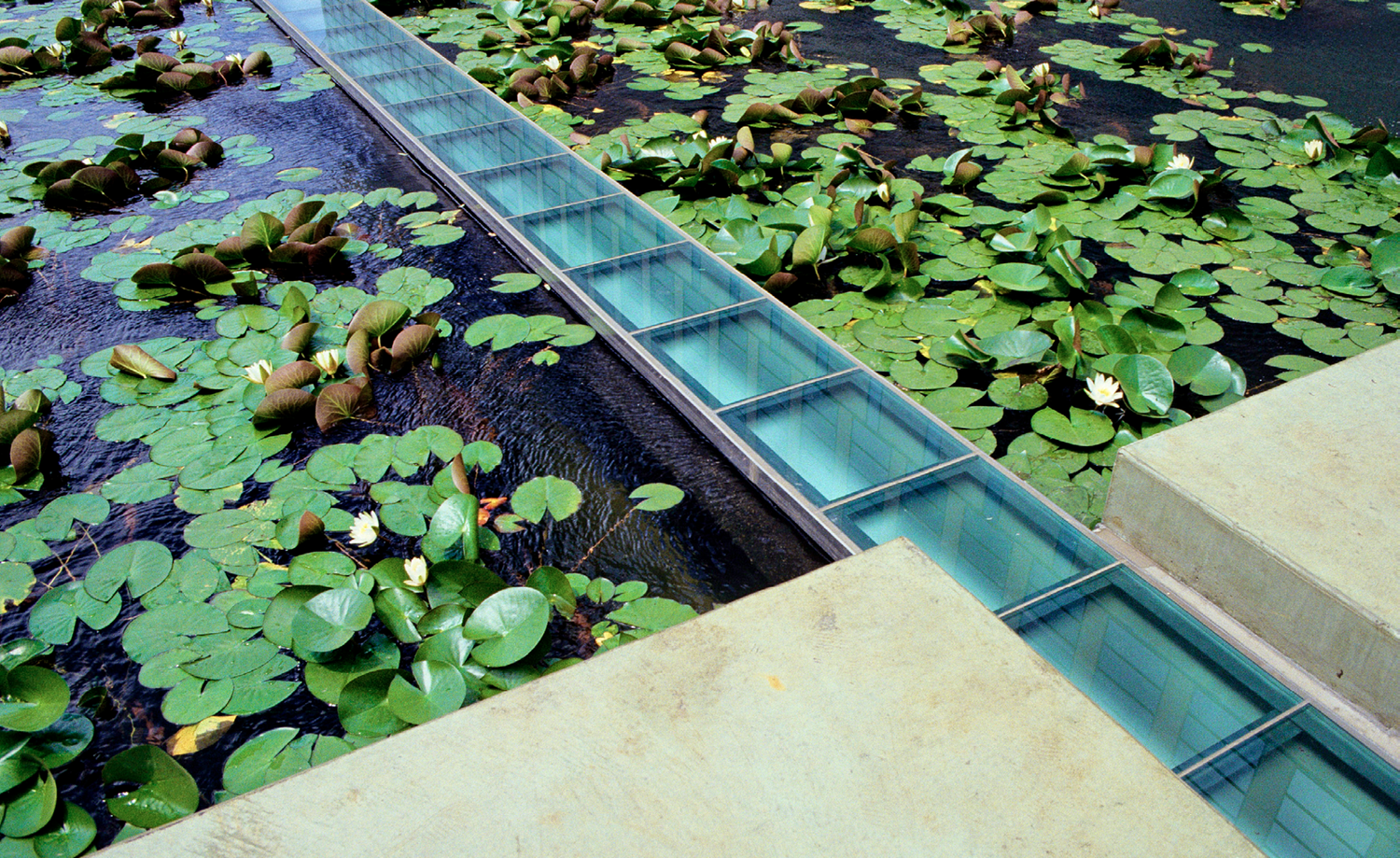 杉本博司　time exposed IBM COURTYARD TOKYO 373 Ibm Headquarters Stock Photos, High-Res Pictures, and